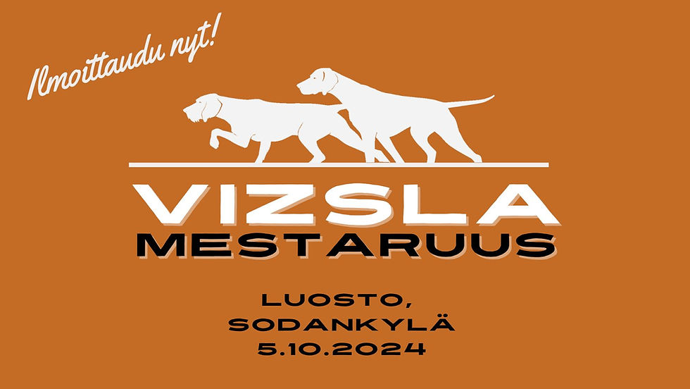 Vizslamestaruus