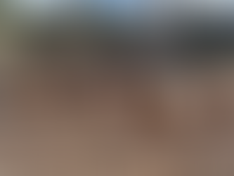 Suomen Unkarinvizslat ry:n sääntömääräinen vuosikokous 11.4.2026