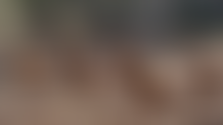 Suomen Unkarinvizslat ry:n sääntömääräinen vuosikokous 11.4.2026