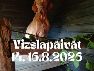 Vizslapäivät 14.-16.8.2026 Kettukallion Elämystilalla Lohjalla
