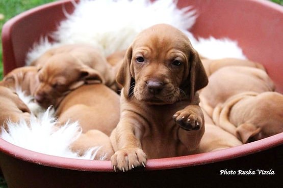 PHOTO-2022-07-28-21-55-00 (1)_edited.jpg