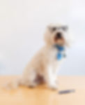 Liz Gill Mortgages-27_websize_edited.jpg