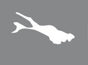 Logo des Bodensee Technologie & Trade Center AG