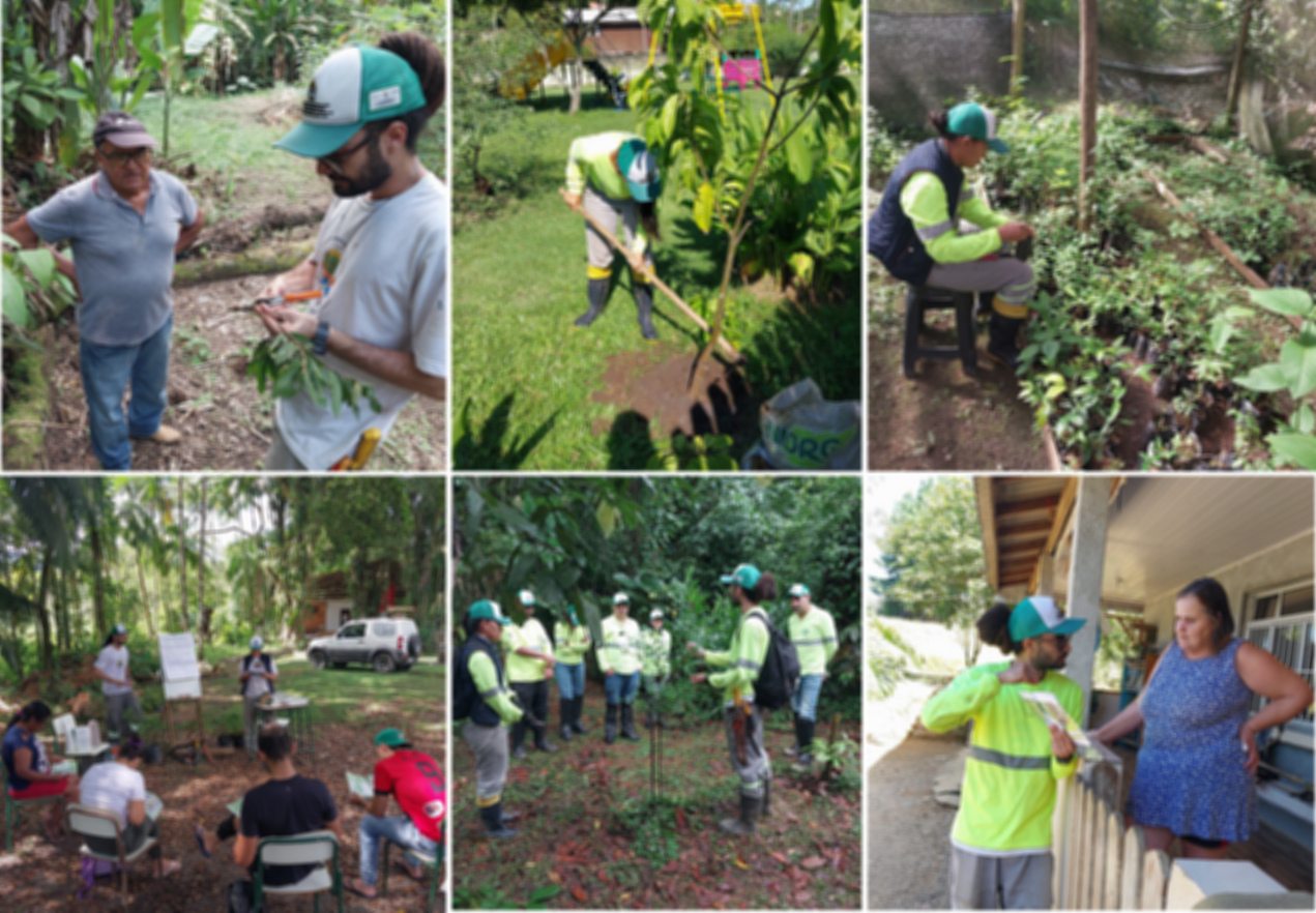 site março 26_edited.png