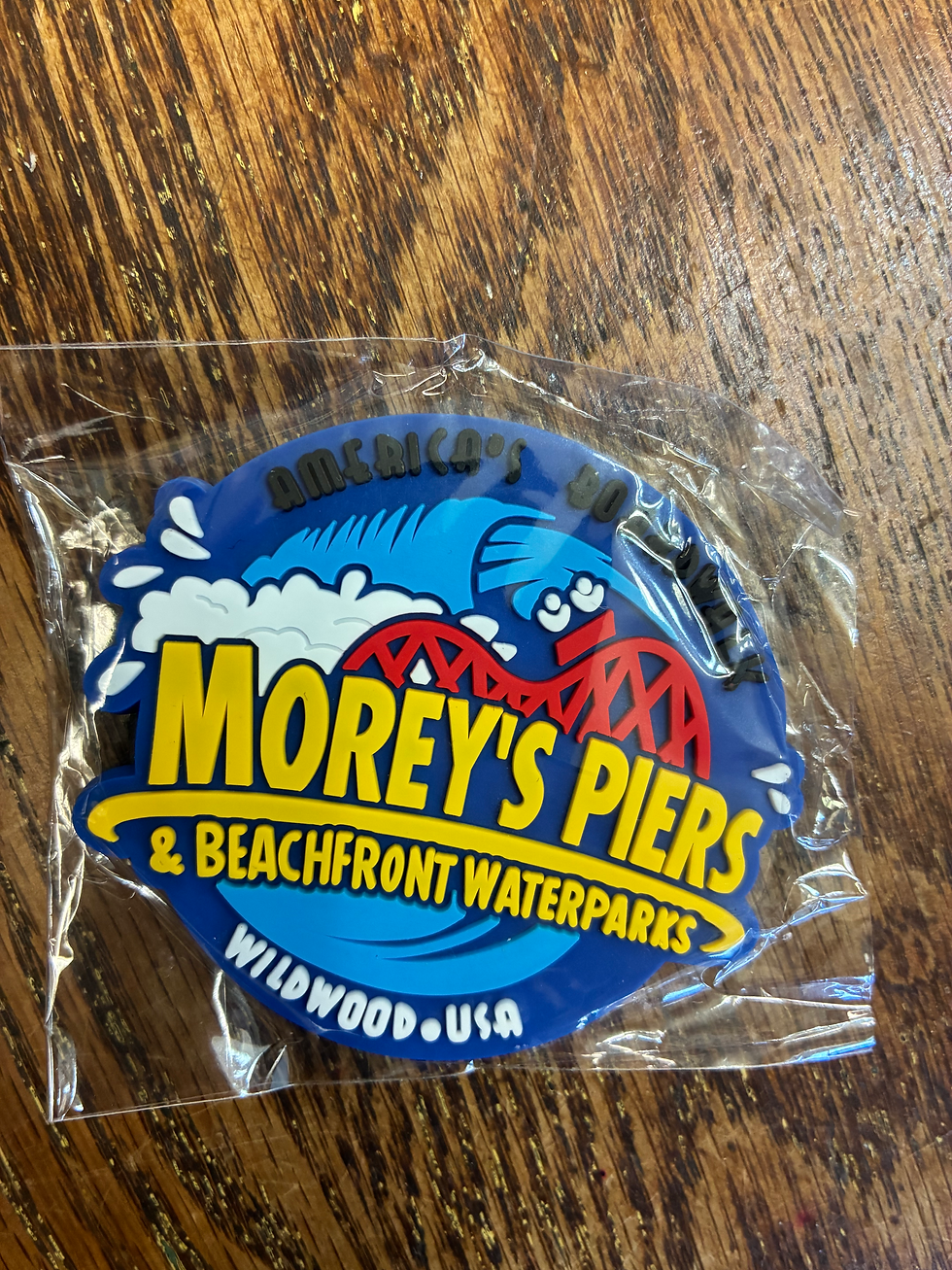 Thumbnail: Wildwood  fridge magnets 