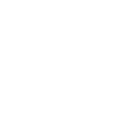 white paddles.png