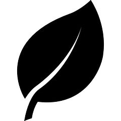 Leaf Pic.jpeg