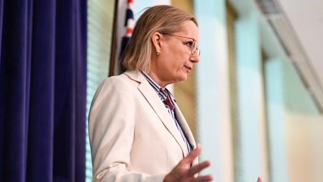 Opposition leader Sussan Ley