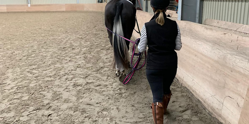 CANCELLED - LUNGEING AND LONG REINING WITH TAMSIN ADDISON