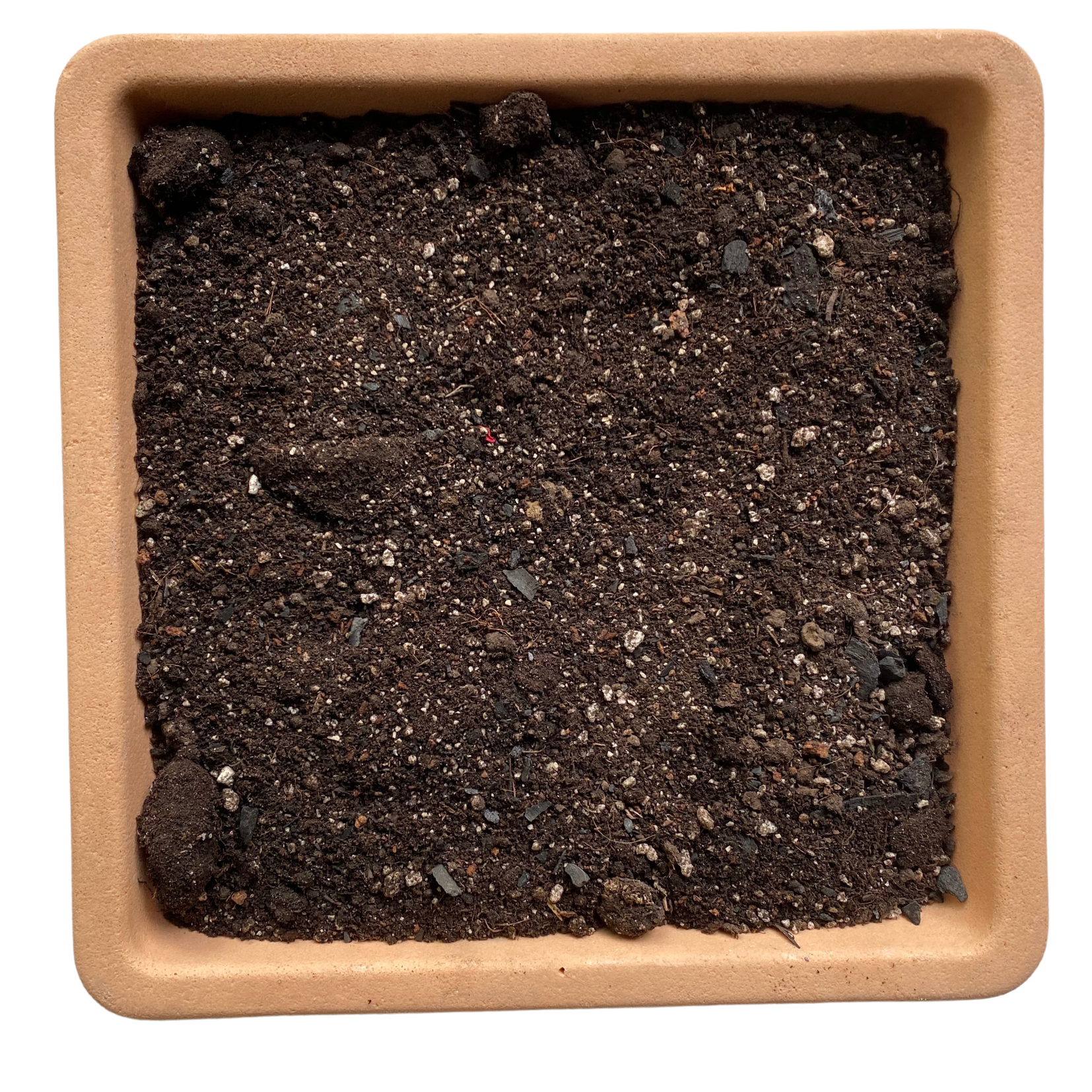 Sustrato para Suculentas