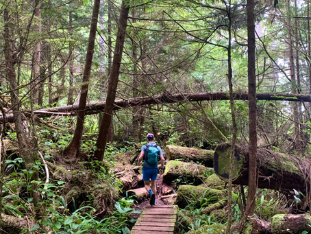 The Top 5 Trail Running Backpacks