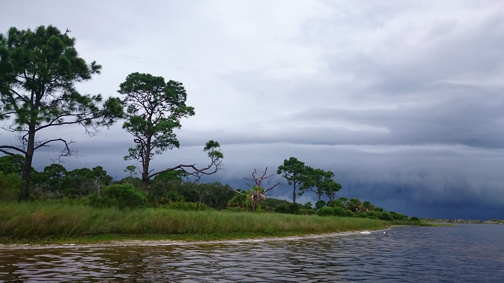 Everglades National Park is a 1.5-million-acre wetlands preserve on the southern tip of the U.S. state of Florida. Often compared to a grassy, slow-moving river, the Everglades is made up of coastal mangroves, sawgrass marshes and pine flatwoods that are home to hundreds of animal species. Among the Everglades' abundant wildlife are the endangered leatherback turtle, Florida panther and West Indian manatee.