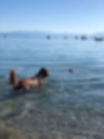Maisie is a shaggy dog, soaked by the waters of Lake Tahoe as she wades out for a swim