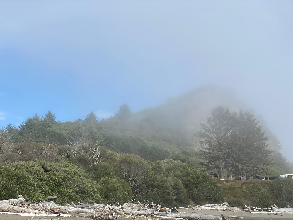 A mountain enshrouded in mist (and perhaps some wildfire smoke), looming over the trees and sand line of the Oregon Coast