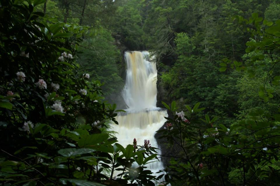 Thick green vegetation surrounds a beautiful waterfall, Dingman Falls