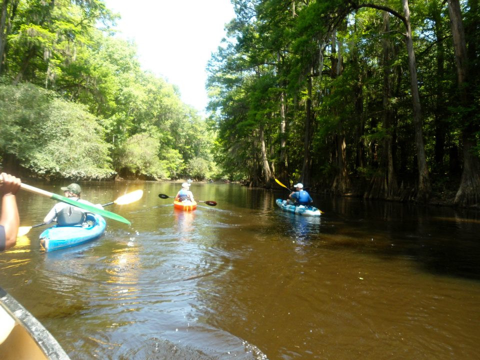 4 people kayaking down one of the waterways of Congaree National Park in South Carolina. Green trees loom above each side of the brown river