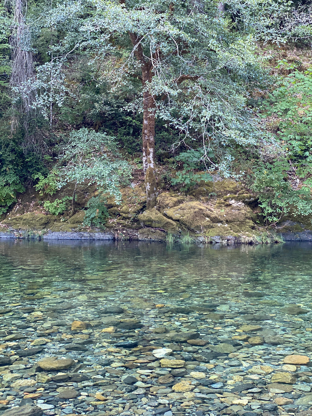 Crystal clear river water reveals thousands of weathered stones beneath the shallow current