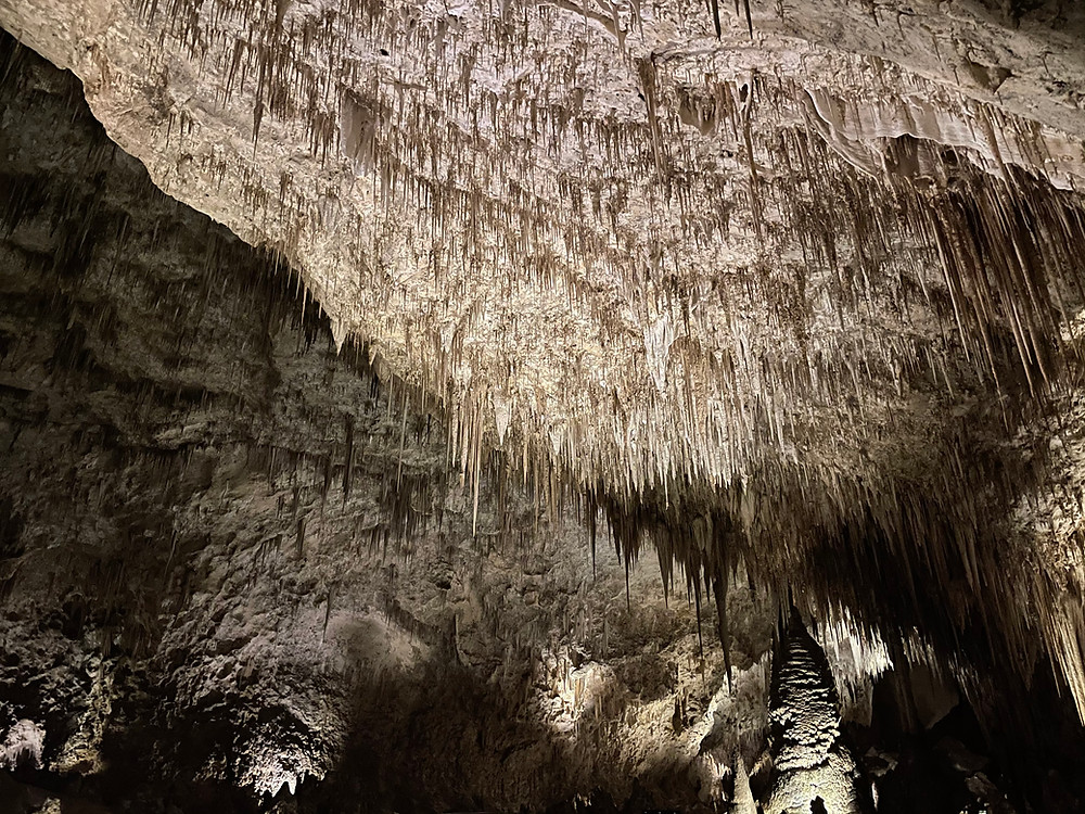 creepy cave scenes at Carlsbad Caverns National Park in New Mexico. Stalactites and Stalagmites galore!