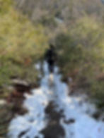 A fluffy white dog named Yogi follows his best friend down a shallow creek that serves as a hiking trail through Angeles National Forest, just outside Los Angeles, California