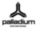 Palladium Swiss Watch