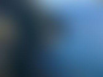 If Everyone In The Holiday Park Industry Were Jumping Off a Cliff, Would You Jump Too?