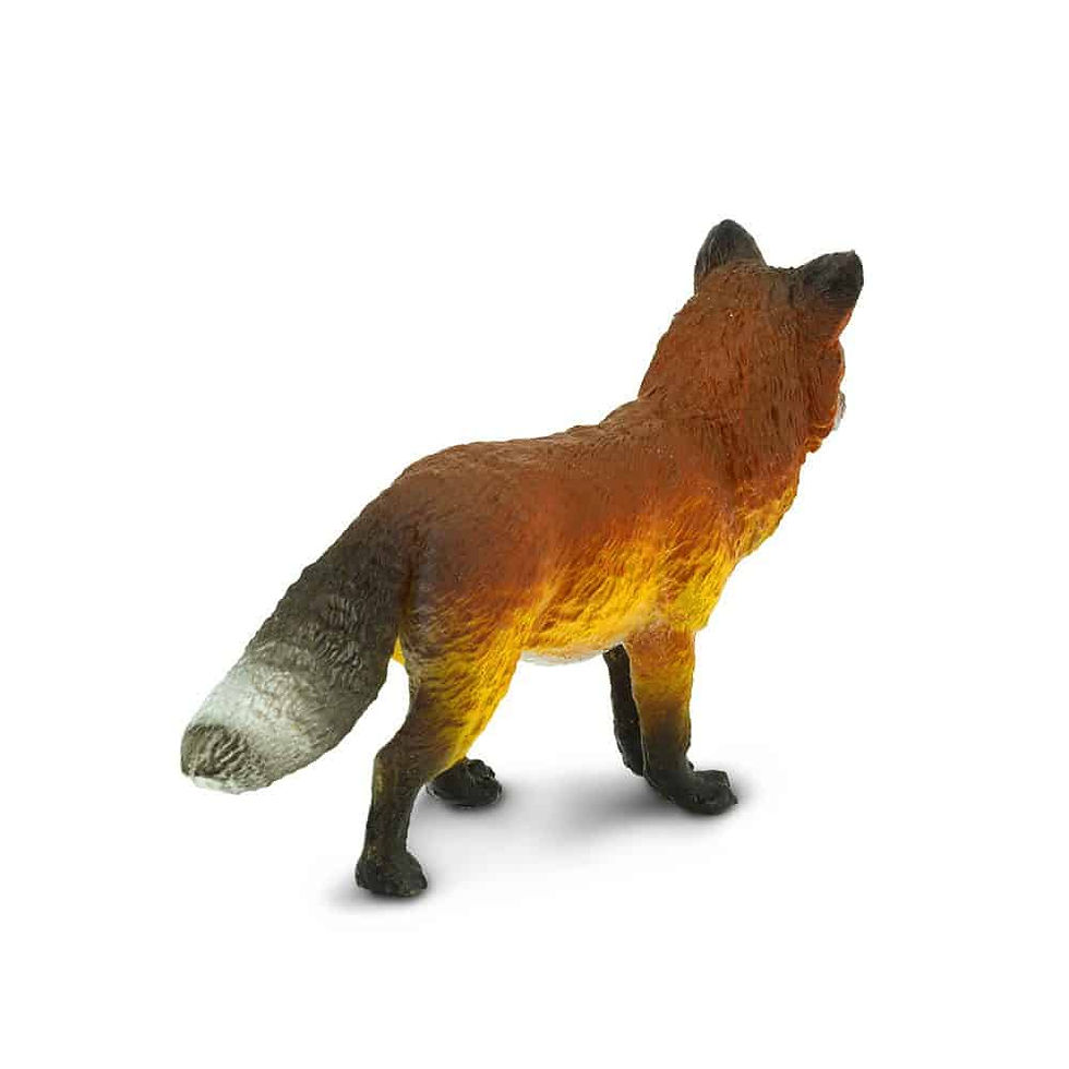 الصورة المصغرة: ثعلب