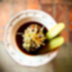GROUND BEEF RUMSTECK • DEMI-GLACE SAUCE • ONION • PICKLED CUCUMBER • POTATO STRAWS