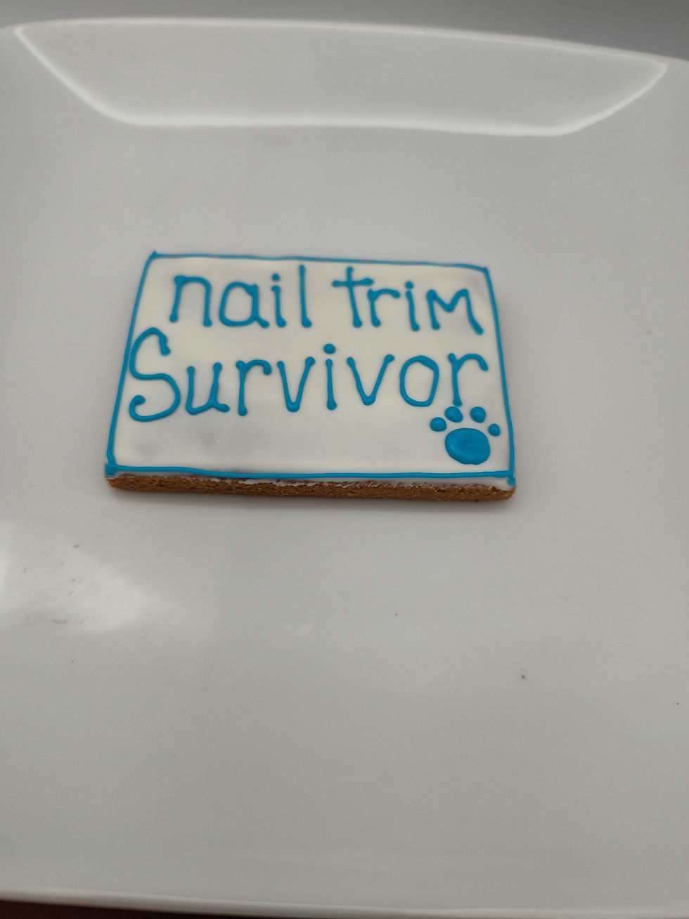 Large Nail Trim Survivor Cookies - 12/CASE