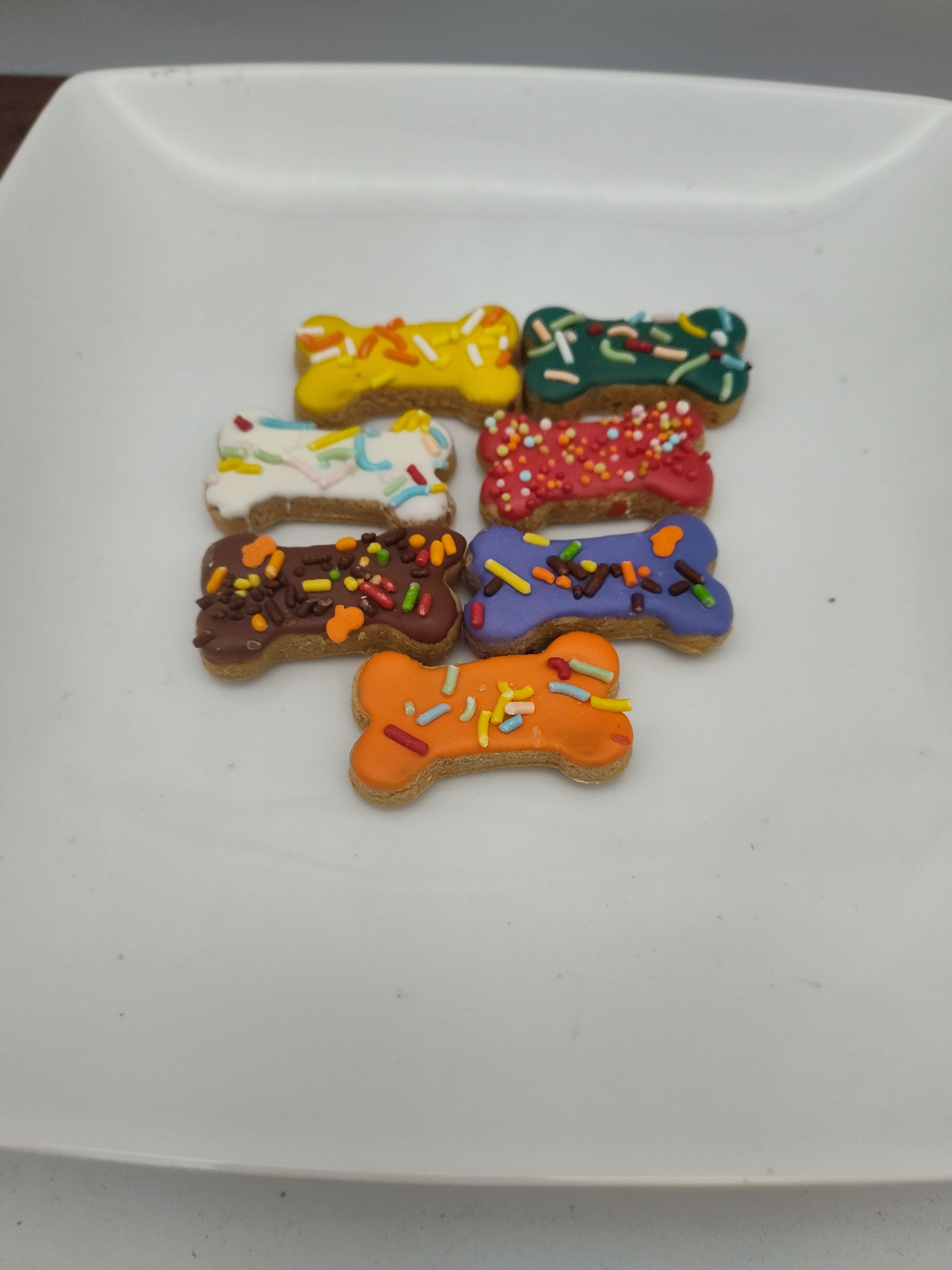 Fun Bite Fall sprinkle bone 20/CASE
