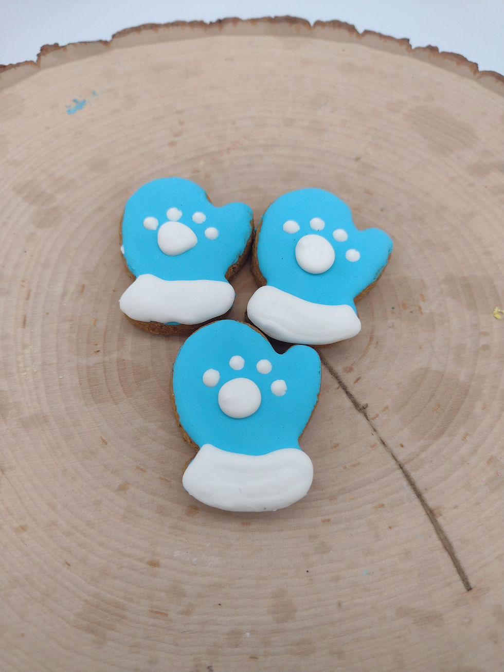 Fun Bite Winter Mittens- 20/CASE