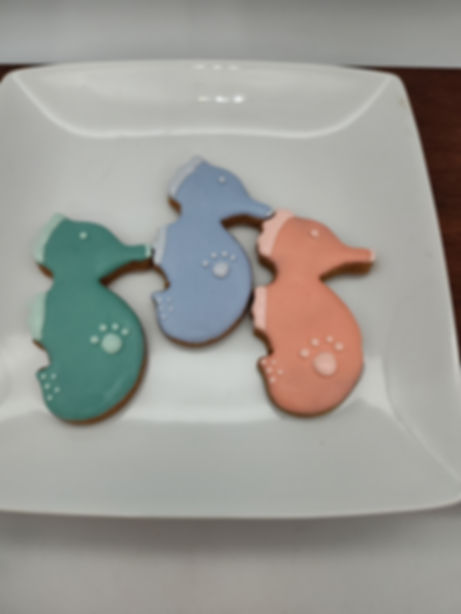 Large Seahorse -12/ CASE