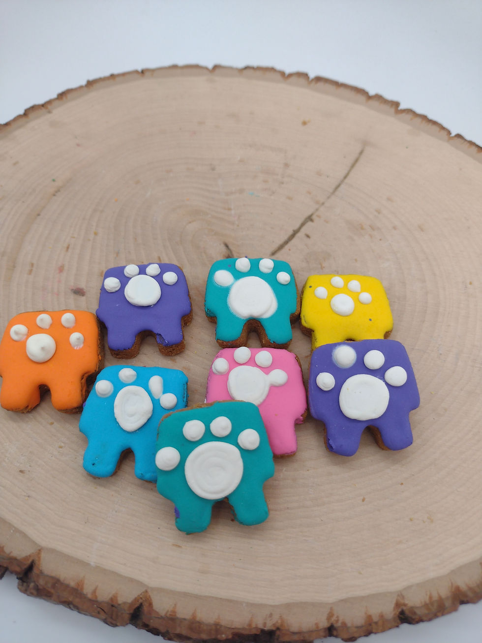 Fun Bite Dog Houses - CASE