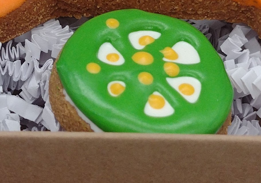 Fun Bite Jalapeno- 20/CASE