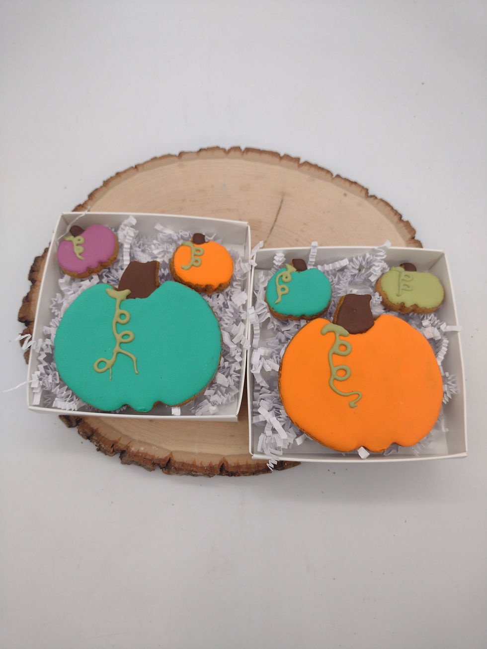 Pumpkin Gift Pack- Full Case