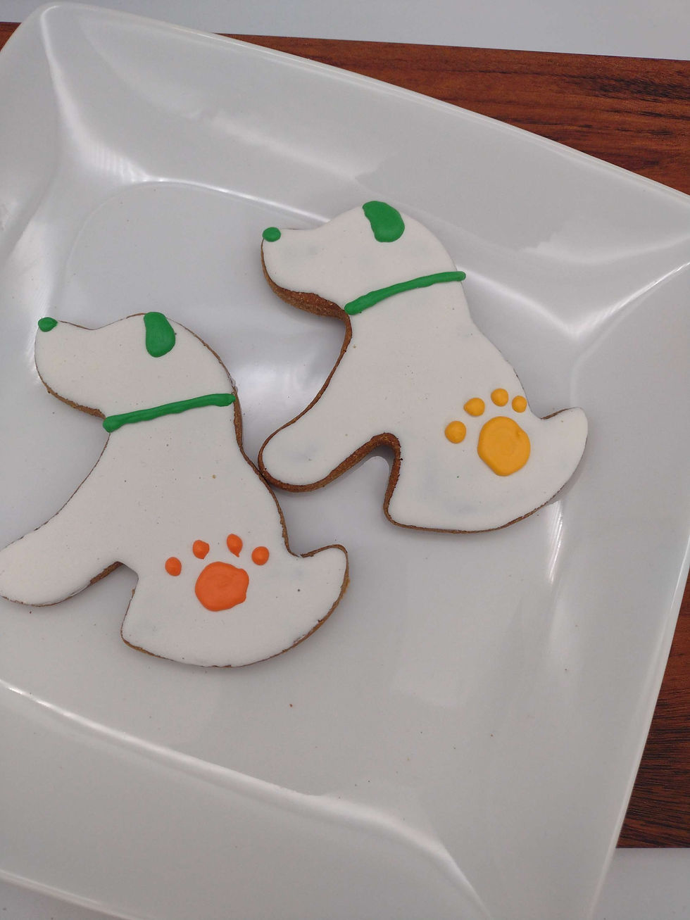 Large Irish Puppies - 12/CASE