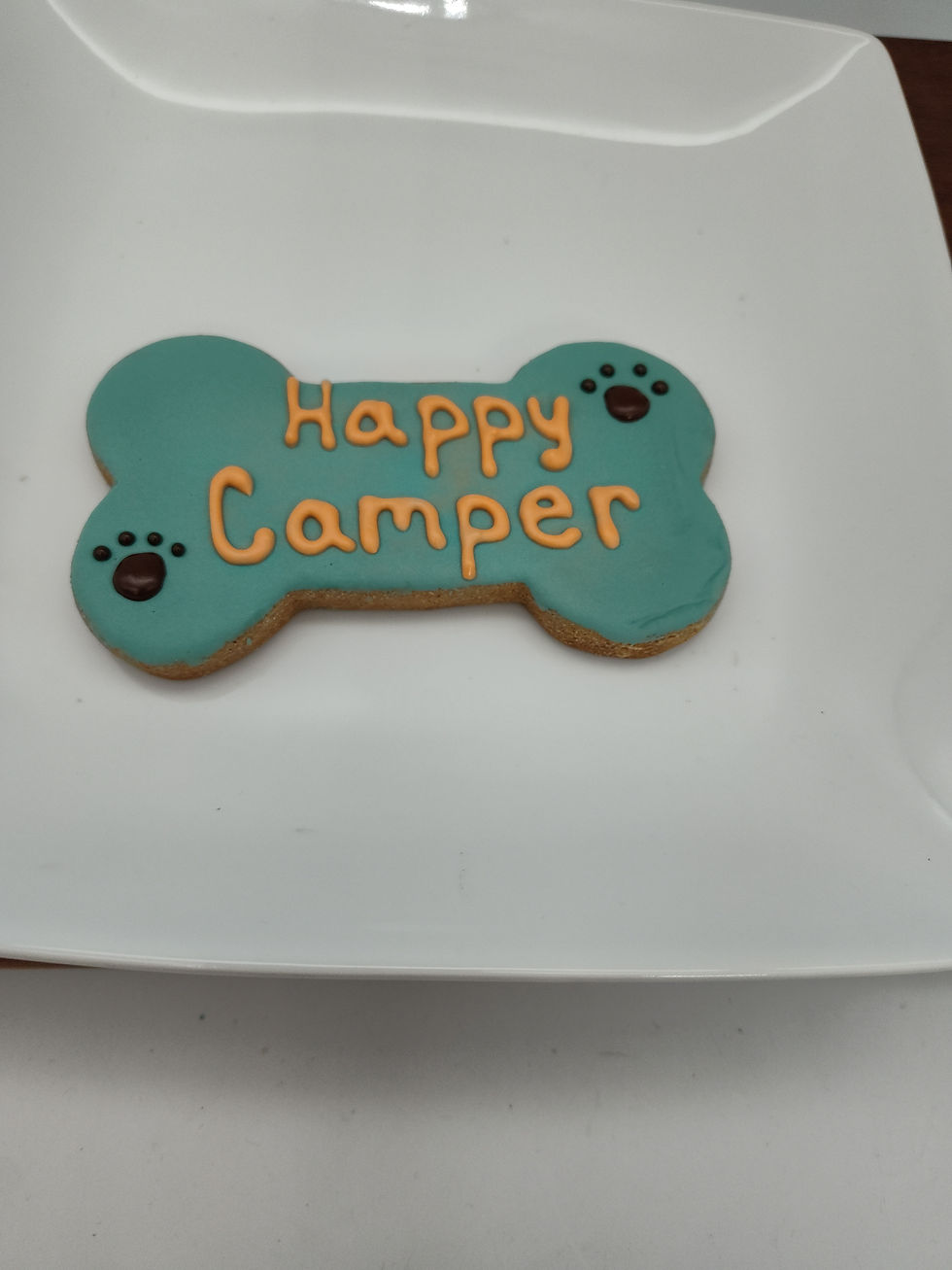 Large Happy Camper Bones -12/ CASE