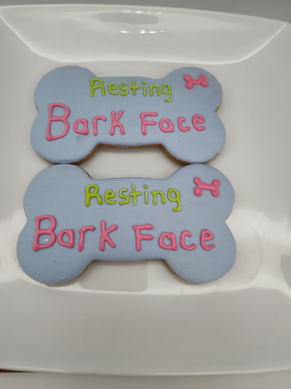 Large Resting Bark Face Bones - 12/CASE