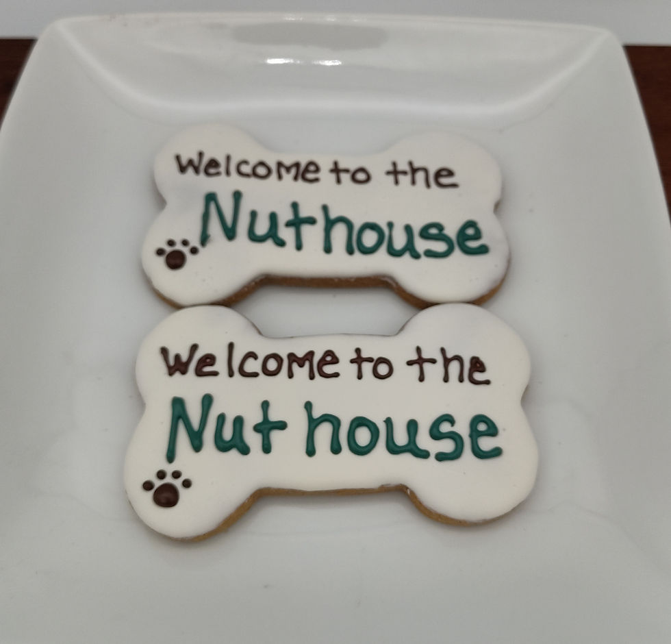 Large Nuthouse Bones - 12/CASE