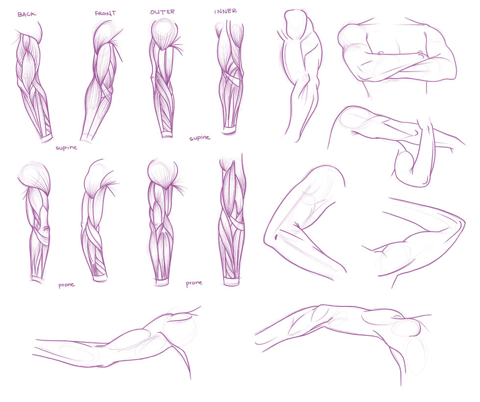 Arms
