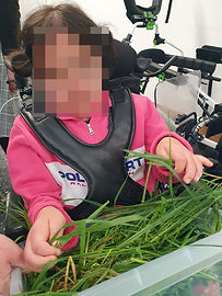 taktil Gras erleben
