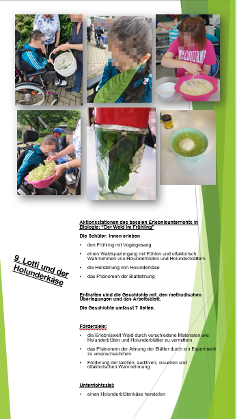 Miniaturbild: Biologie /Sammelmappe Biologie, Wald Sommer