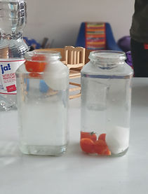 Die schwimmenden Eier und Tomaten