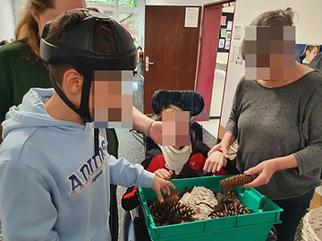 Walderzeugnisse erkunden