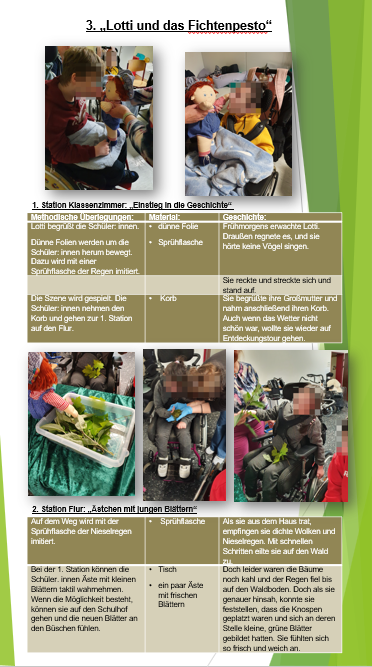 Miniaturbild: Biologie /3. Lotti und das Pesto aus Fichtennadel-trieben