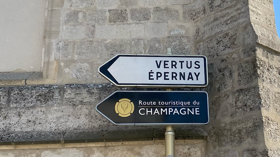 Champagne Artigianale in Francia