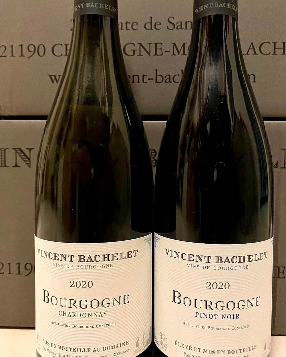 Vini di Borgogna, Domaine Vincent Bachelet, nuova annata 2020