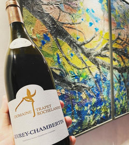 Vino Borgogna Domaine Trapet Rochelandet Gevrey-Chambertin AOC 2017