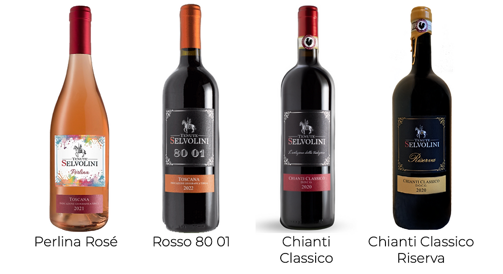 vini tenute selvolini