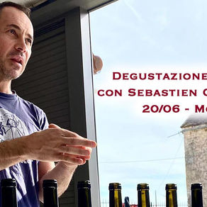 Degustazione Chablis, l'annata 2022 in orizzontale secondo Domaine Christophe: l'evento con AIS Monza il 20/06