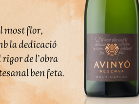 Cava Reserva Brut Nature: Il Vino di Cava Avinyo Selezionato per l'Esame Master of Wine